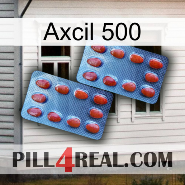 Axcil 500 05.jpg